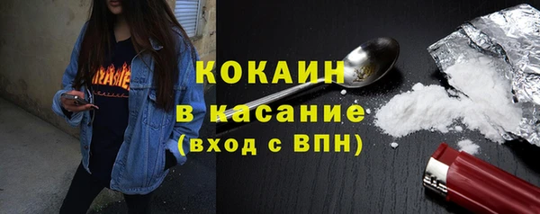 гашик Алексеевка