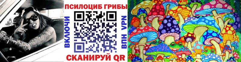 Галлюциногенные грибы Psilocybe  как найти закладки  Циолковский 